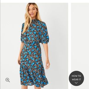 Ann Taylor floral blouson dress in night sky. Flowy fit, hits below the knee. 0